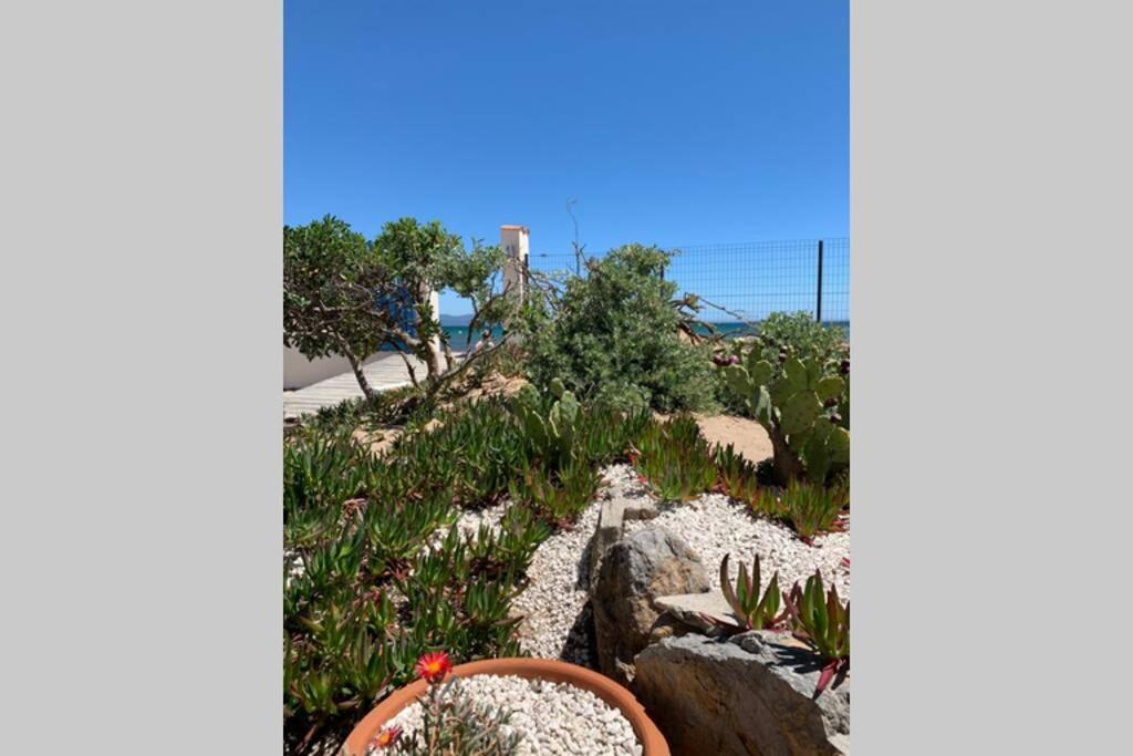 Hyeres Studio Les Pieds Dans L Eau Au Grand Sud Exterior photo